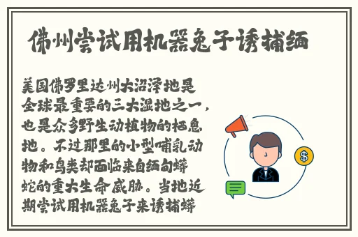 吃瓜爆料91